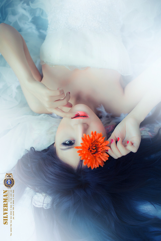 新精瓶梅